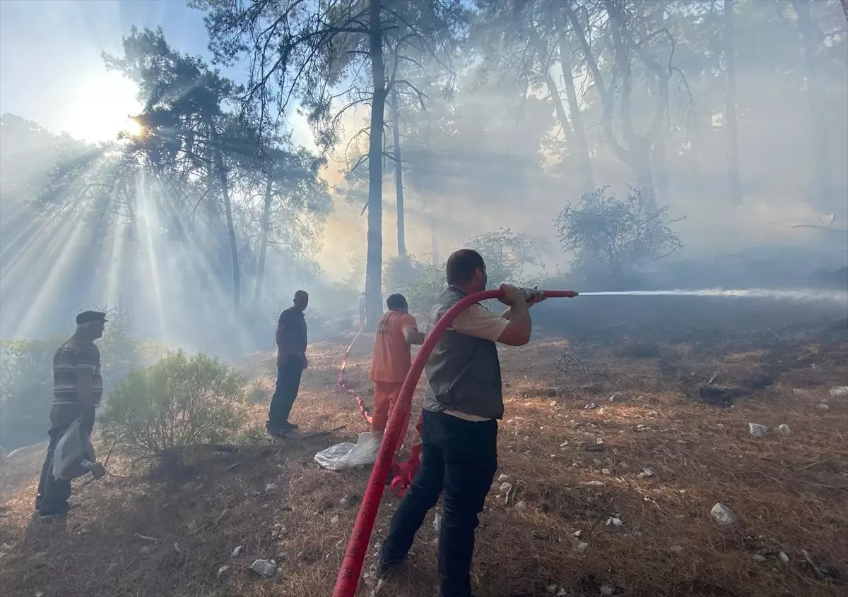 Kaş’ta Orman Yangını Kontrol Altına Alındı