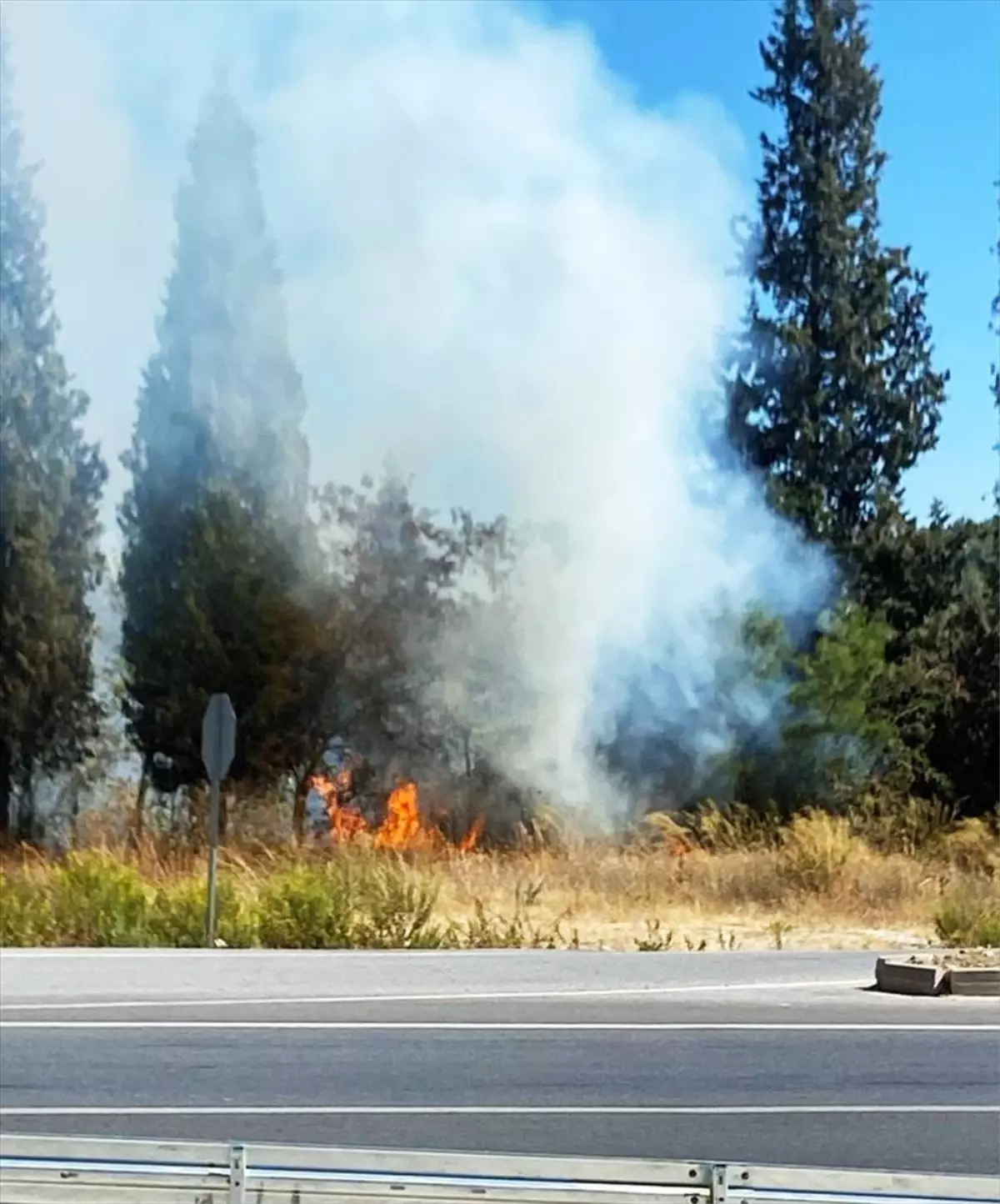 Stratonikeia Yakınında Orman Yangını